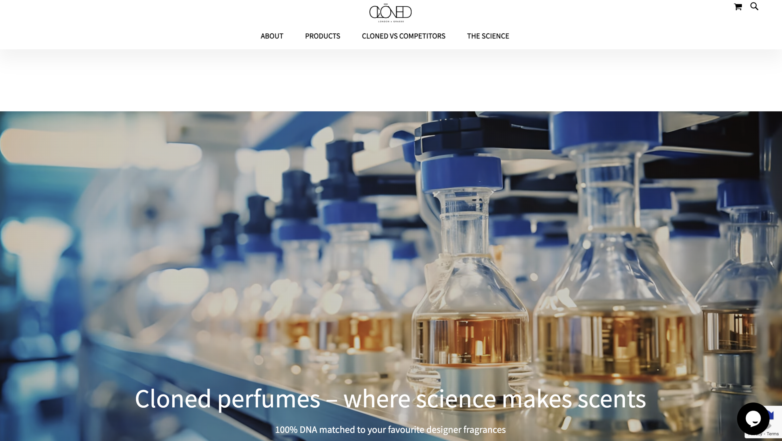 Cloned website page